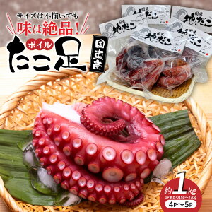 yӂ邳Ɣ[ŁzTCY͕sł͐iIY{C1kg Y  {C VR ^  ֗ g Hׂ₷ pX^ sU Ă |̕ T_ g V[