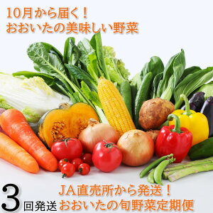 yӂ邳Ɣ[Łz10炨͂!̏{ؒ/v3񔭑