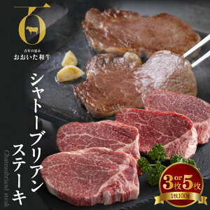 yӂ邳Ɣ[ŁzyA4`A5zXe[L Vg[uA Iׂ閇 100g×3 5 300g 500g  a јa SŇb uha A4 A5 N  Ԑg _炩 O p