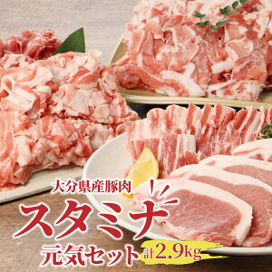 yӂ邳Ɣ[Łz啪ؓX^~iCZbg2.9kg
