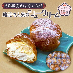 【ふるさと納税】50年変わらない味!地元で人気のシュークリーム15個