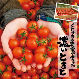 【ふるさと納税】国東産 ミニトマト 「濃いとまと」 3kg バラ 箱