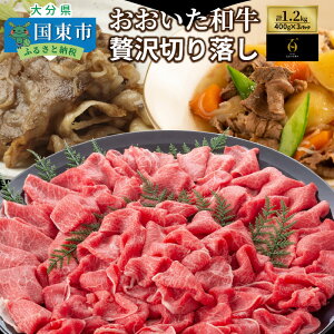 yӂ邳Ɣ[Łza/ґ؂藎1.2kg
