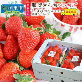 【ふるさと納税】期間限定 令和7年発送 いちご ストロベリー ベリーツ オリジナル品種 フルーツ 約260g × 4パック 約1.04kg 農家直送 採れたて 新鮮 糖度が高い 服部さんち お取り寄せスイーツ お取り寄せグルメ 冷蔵 送料無料
