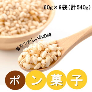 yӂ邳Ɣ[ŁẑȂ̃|َq 60g×9 v540g