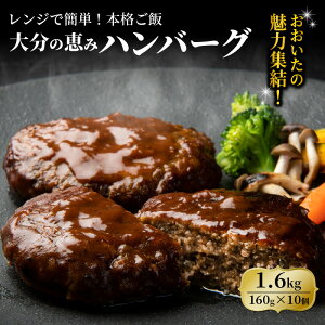 yӂ邳Ɣ[Łz啪̌b݃no[O 1.6kg 160g×10 1600g f~OX\[X   ؓ no[O  ٓ y Ⓚ 啪Y BY Y ʕԗi ȒP 啪Y 