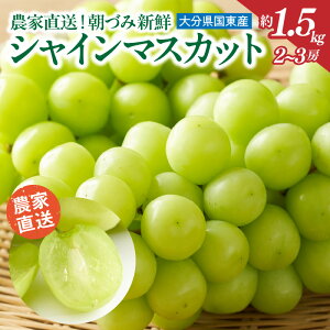 yӂ邳Ɣ[ŁzÂ VC}XJbg 1.5kg 2~3[ _ƒ VN ̂ꂽ ߘa7N oו t[c ʕ  啪Y 9 8 Ԃǂ }XJbg  lC ĂȂ 
