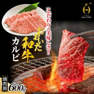yӂ邳Ɣ[Łz̔IaJr ēp 600g