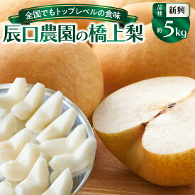 【ふるさと納税】【先行予約】令和8年発送 /辰口農園の橋上梨約5kg（品種:新興）