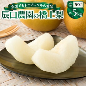 【ふるさと納税】【先行予約】令和7年発送 /辰口農園の橋上梨約5kg(品種:愛宕)