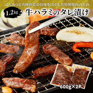 yӂ邳Ɣ[Łzn~ ^Ђ 1.2kg i600g×2Pj ^Ђ t y ȒP ē o[xL[ BBQ Ⓚ O