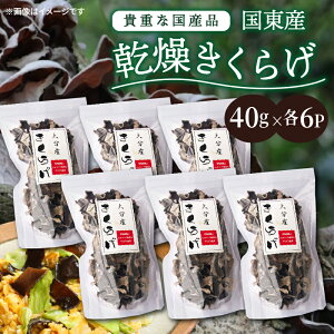 yӂ邳Ɣ[ŁzY  炰 40g×6P 240g `bNt ֗  炰 gbsO uߕ ώ ̂ BY 啪  RRH ؗ   Ђ VՂ 