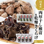 干し 椎茸 乾燥 きくらげ 各160g 40g×4P セット どんこ 肉厚 国産 乾燥シイタケ 小分け パック 保存 便利 使い勝手 チャック付き 大分 国東 乾しいたけ 干しキクラゲ お取り寄せ グルメ 送料無料