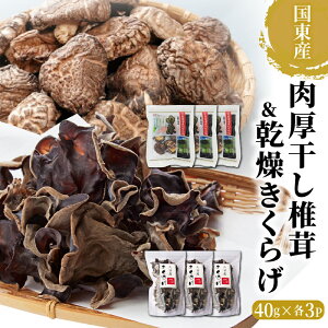 yӂ邳Ɣ[Łz ő  炰 e120g 40g×3P v 240g v 6P Zbg ǂ  Y VC^P  pbN ۑ ֗ g `bNt 啪   LN