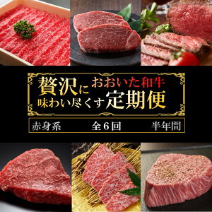 yӂ邳Ɣ[Łza ґ N  Ԑgn v6 ς Tbp 6  Ԑg tB w Ă XLL VuVu o[xL[ BBQ Ⓚ 