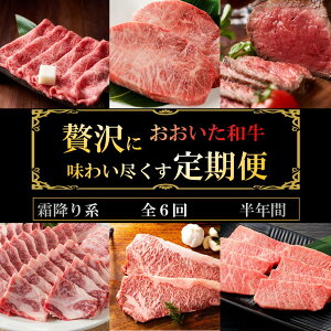 yӂ邳Ɣ[Łza ґ N  ~n v6 Kbc  W[V[ 6  ~ Ă XLL VuVu o[xL[ BBQ Ⓚ 