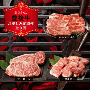 yӂ邳Ɣ[ŁzL㋍ 3  v3 Ă XLL VuVu o[xL[ BBQ  ̍ Ⓚ 
