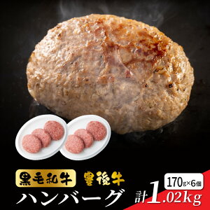 yӂ邳Ɣ[ŁzyјazL㋍no[Ov1.02kg(170g×6)