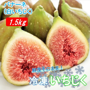 yӂ邳Ɣ[ŁzⓀ n  oi[l  1.5kg ⓀC`WN ԉ oi[l VC`WN t[c VN 