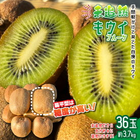 【ふるさと納税】未追熟キウイフルーツ 扁平型 36玉(約3.7kg)