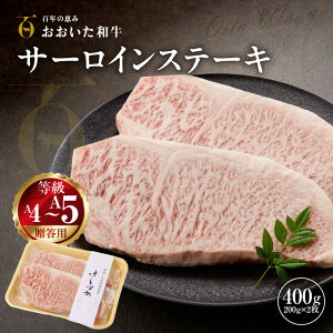 yӂ邳Ɣ[ŁzypzA4~A5aT[CXe[L400gi200g×2j