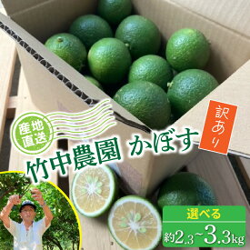 【ふるさと納税】訳あり かぼす 農家直送 竹中農園 大分県 日本一 柑橘