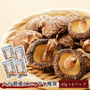 yӂ邳Ɣ[Łz啪Yǂ񂱊őpbN 40g×4pbN   VC^P    ֗ X`  R g₷ ܂ pbN