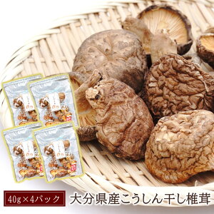 yӂ邳Ɣ[Łz啪Y񊱂ő40g×4pbN  VC^P ~    ֗ X`  R g₷ ܂ pbN 啪Y