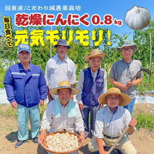 【ふるさと納税】毎日食べて元気モリモリ!国東産乾燥にんにく0.8kg/こだわり減農薬栽培