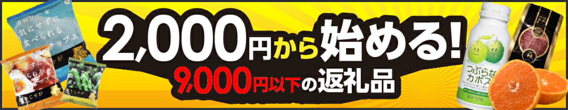 2,000円から始める！10,000円未満の返礼品