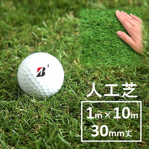 yӂ邳Ɣ[ŁzlHŁ@ACX\[R[@1m×10m@ŏ30mm@CT-3015@@x_@DIY@ȒP@@{H@q@ybg@Ő@Ł@[@O^[t@}bg@CeA@
