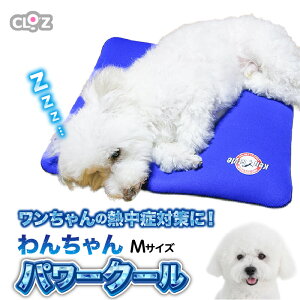 yӂ邳Ɣ[ŁzNbc 񂿂p[N[M