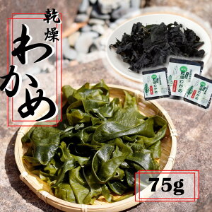 yӂ邳Ɣ[Łz~lLxȊC̖؁I킩 75g (18g×3P / 7g×3P) Y   啪 C |̕ T_ X` H@ ~l