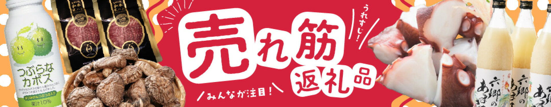 ふるさと納税 人気返礼品ランキング