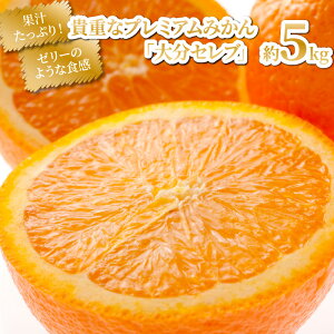 yӂ邳Ɣ[Łzys\zߘa7N12Jn/Mdȃv~A݂u啪Zuv5kg