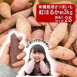 yӂ邳Ɣ[Łz󂠂 TCY L@͔| ܂  g͂邩 3kg 2STCY 50g`100gO/ L@JASF
