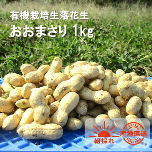 yӂ邳Ɣ[ŁzL@͔| Ԑ 1kg ܂ ̂  L@JASF