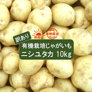 yӂ邳Ɣ[Łz󂠂 L@͔| Ⴊ 10kg jV^J ̂  L@JASF