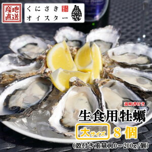 yӂ邳Ɣ[Łzy Hp kt ɂICX^[ 傫TCY8iktd110`200g/j JL oyster y