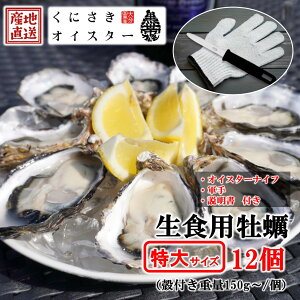 yӂ邳Ɣ[Łzy Hp kt ɂICX^[ TCY 12iktd150g`/j yiCt JL oyster y