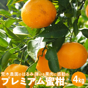 yӂ邳Ɣ[Łzyߘa8N2甭zrؔ_̂͂ݖ4kg/eʓɊ̃v~A