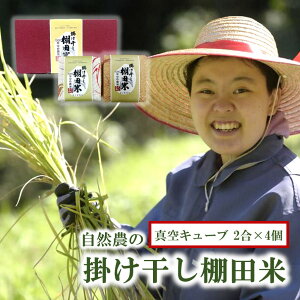 yӂ邳Ɣ[ŁzMtg R_ | Ic qmqJ ^L[u 2×4 i2)  1.2kg 