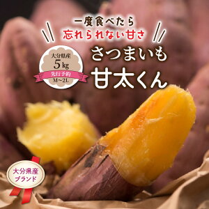 yӂ邳Ɣ[Łzs\ ܂ Ñ 5kg 啪Y M`2L