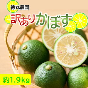 yӂ邳Ɣ[Łz󂠂 ̏ ڂ 1.9kg KiO