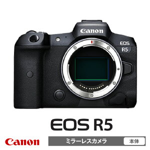 yӂ邳Ɣ[ŁzLm ~[X J EOS R5 {fB[ Ɠd ʐ^ Ki 掿 x tTCY~[X Canon Lm  fWJ 4500f tTCY 8k u␳ 4147