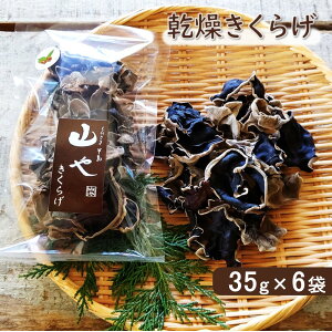 yӂ邳Ɣ[Łzyʌz󏭁IYI炰 35g×6