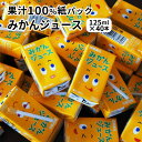 数量限定 みかんジュース 無添加 125ml×40本 果汁...