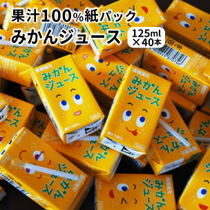数量限定 みかんジュース 無添加 125ml×40本 果汁...