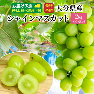 yӂ邳Ɣ[ŁzVC}XJbg ߘa7N  2kg 3`5[ 啪Y 9 10 Ԃǂ }XJbg t[c ʕ  lC ĂȂ 