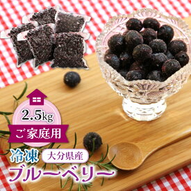 【ふるさと納税】ご家庭用 冷凍ブルーベリー 2.5kg 国産 500g×5袋 大分県産 新鮮冷凍 栄養そのまま 吸収率 ヨーグルトスムージー スイーツ ジャム 大分県 国東市 送料無料